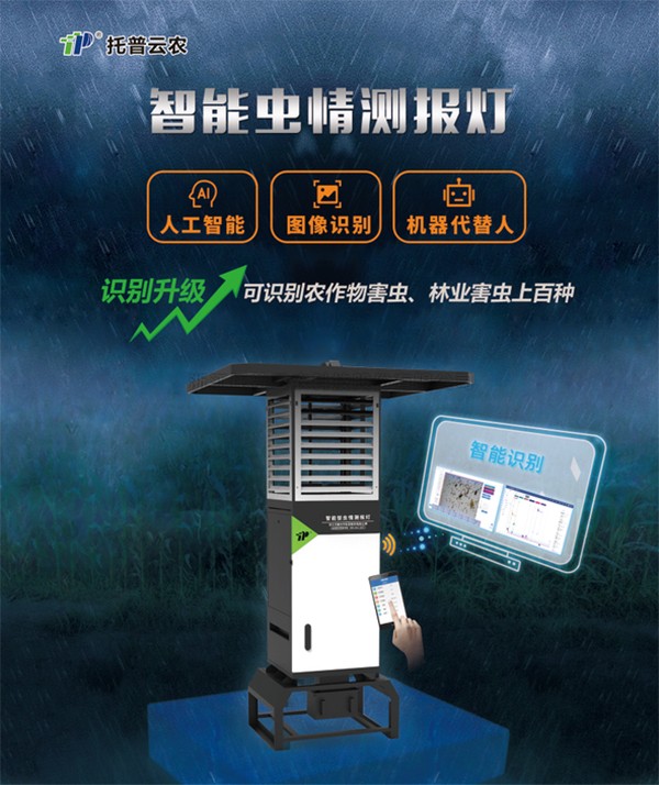 害蟲無處逃，午夜福利电影“蟲臉識別”有妙招