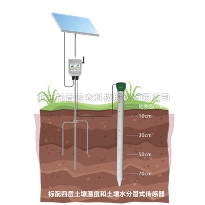 管式午夜男女福利墒情監測站