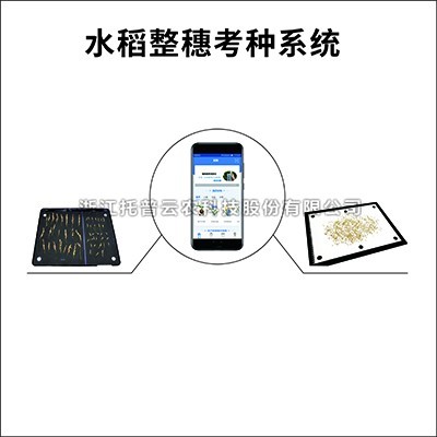 水稻整穗考種儀：一款基於圖像識別技術的水稻整穗考種測量工具