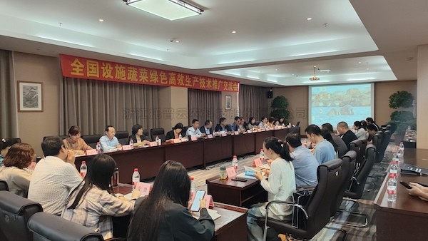 全國蔬菜綠色高效生產技術推廣交流會召開，午夜福利电影助力設施農業煥發新活力
