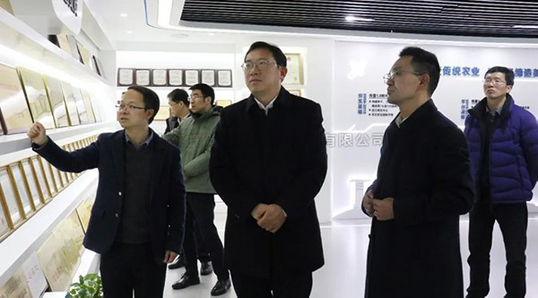 湘湖實驗室常務副主任楊華一行蒞臨午夜福利电影考察調研