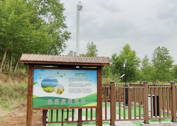 走進國家級油菜夏繁基地，感受科技賦能蓬勃動力