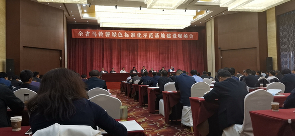 數字應用保障標準化種植，午夜福利电影助力甘肅馬鈴薯產業化之路