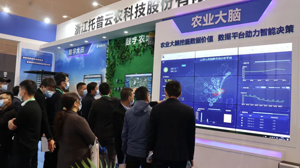 午夜福利电影展位