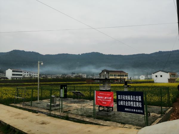 午夜福利电影病蟲害監測點