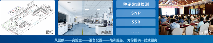 一站式午夜福利导航APP檢驗