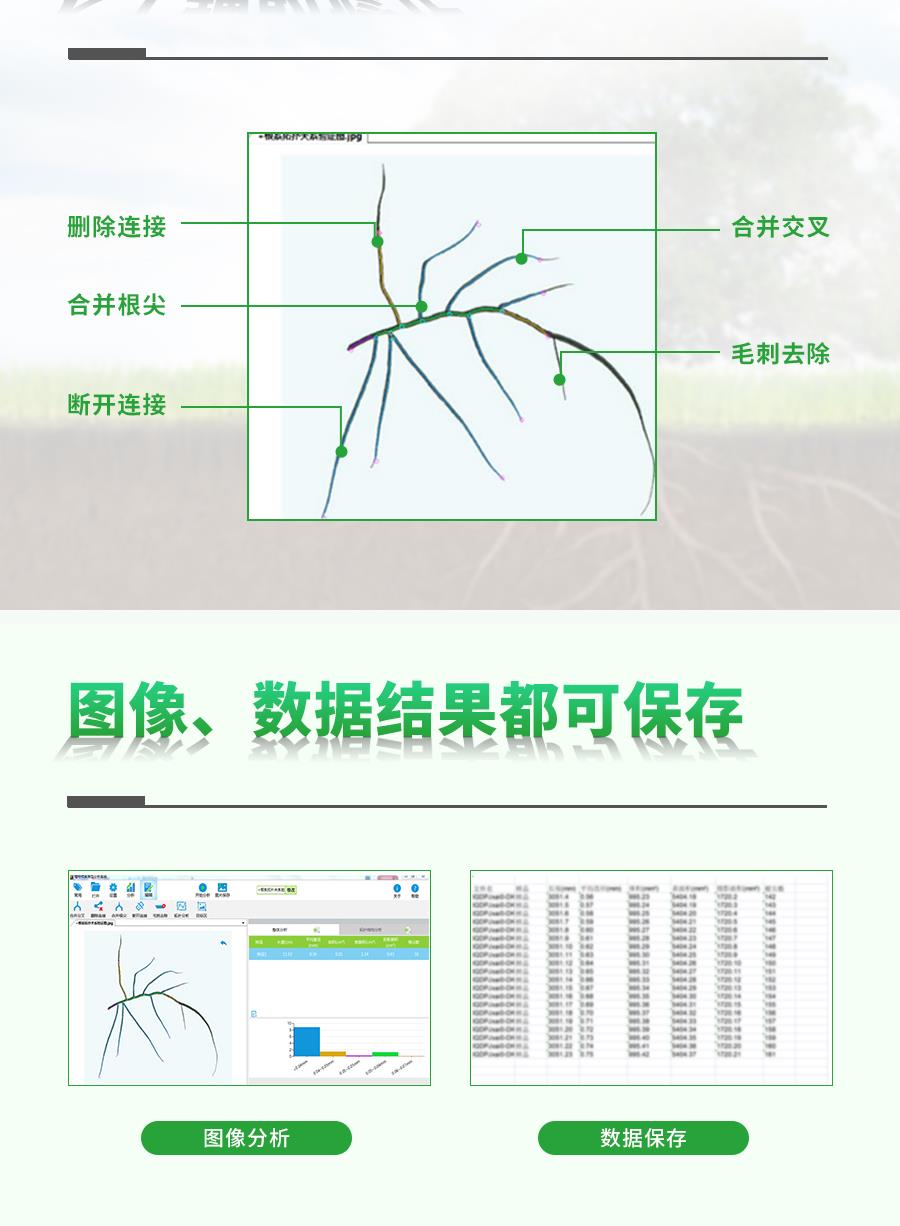 植物根係分析儀